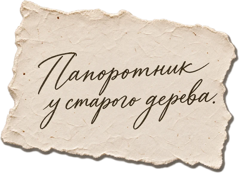 Папоротник у старого дерева.