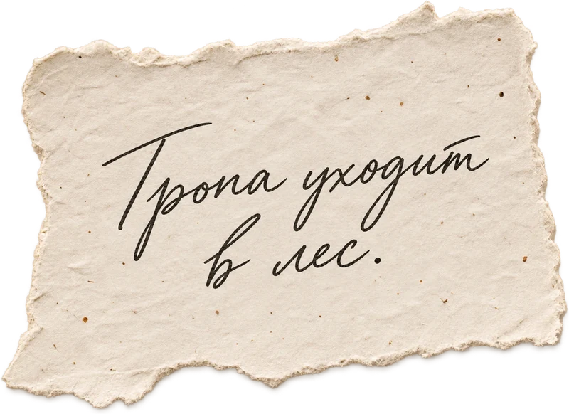 Тропа уходит в лес.